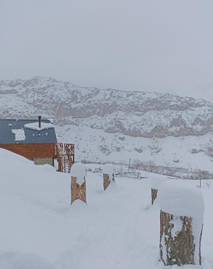 Cottage Toladi Kazbegi Εξωτερικό φωτογραφία