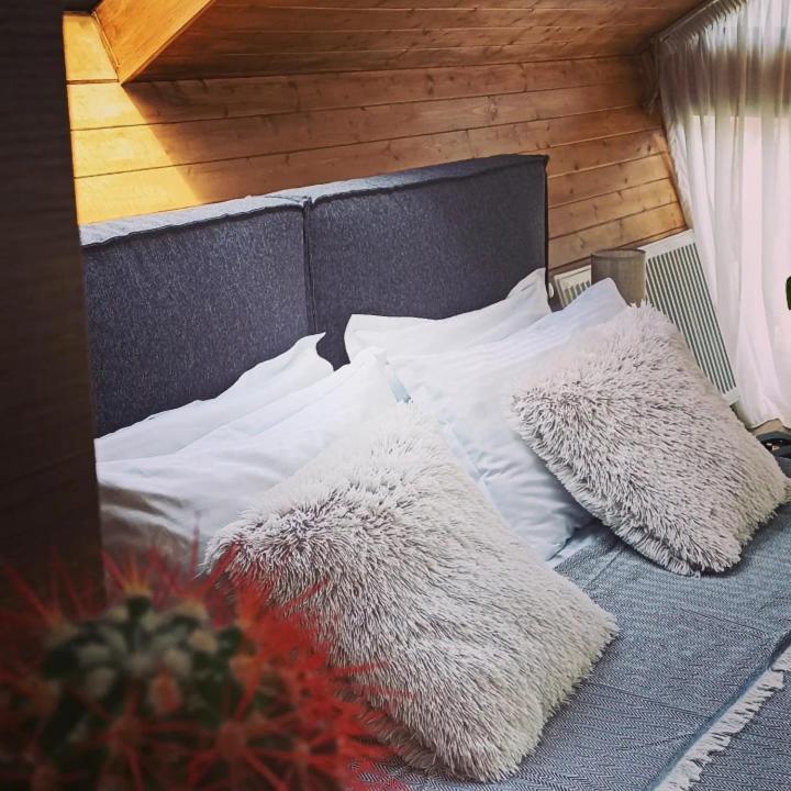 Cottage Toladi Kazbegi Εξωτερικό φωτογραφία